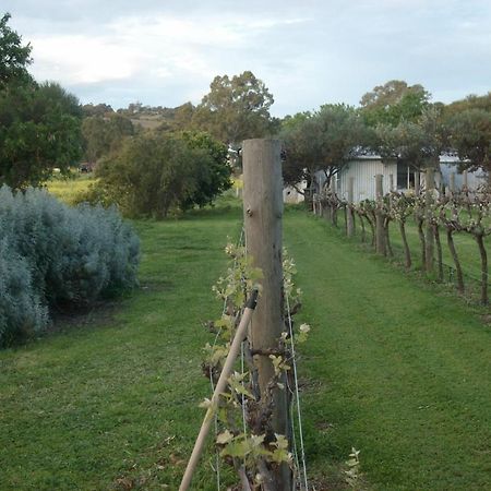 Southern Vales Bed & Breakfast Mclaren Vale Exterior photo
