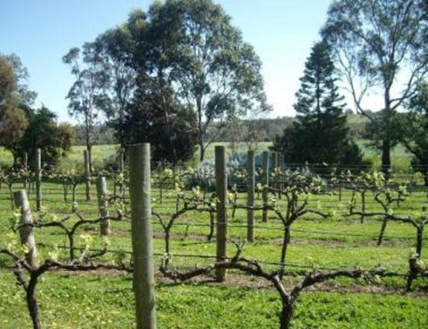 Southern Vales Bed & Breakfast Mclaren Vale Exterior photo