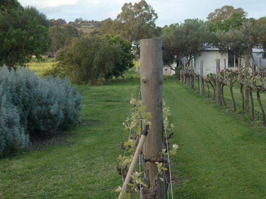 Southern Vales Bed & Breakfast Mclaren Vale Exterior photo
