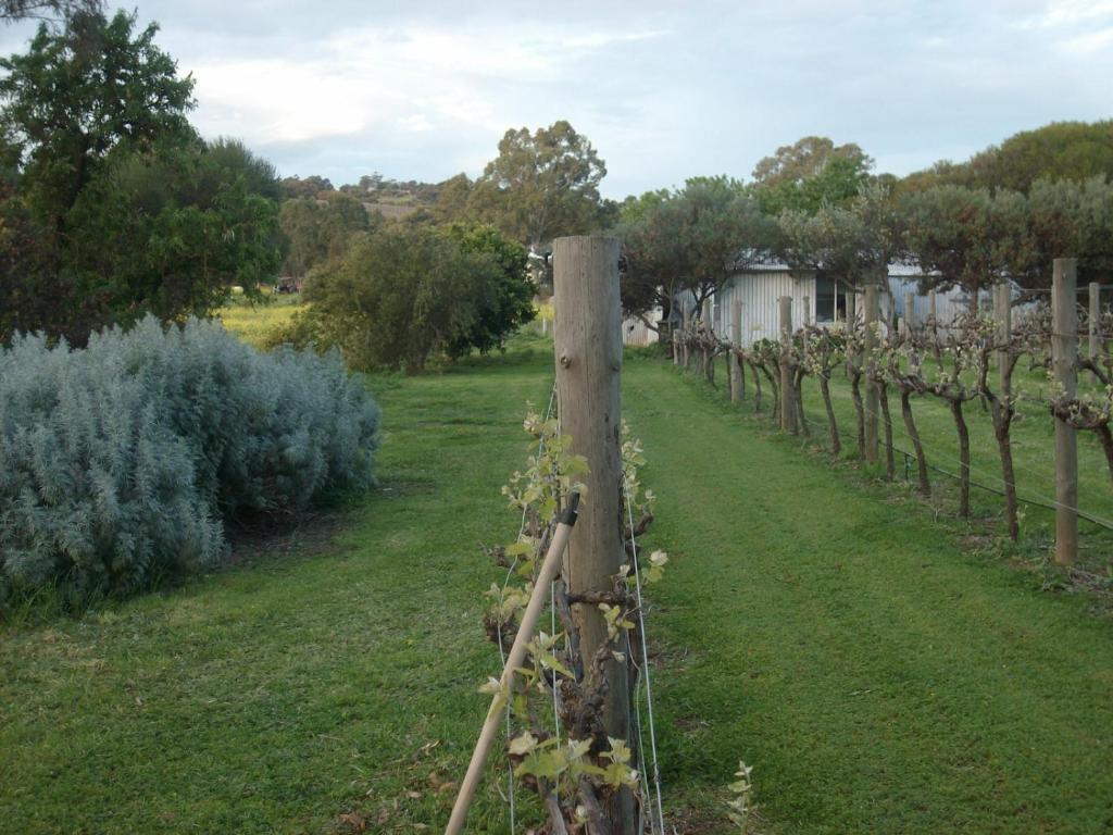 Southern Vales Bed & Breakfast Mclaren Vale Exterior photo