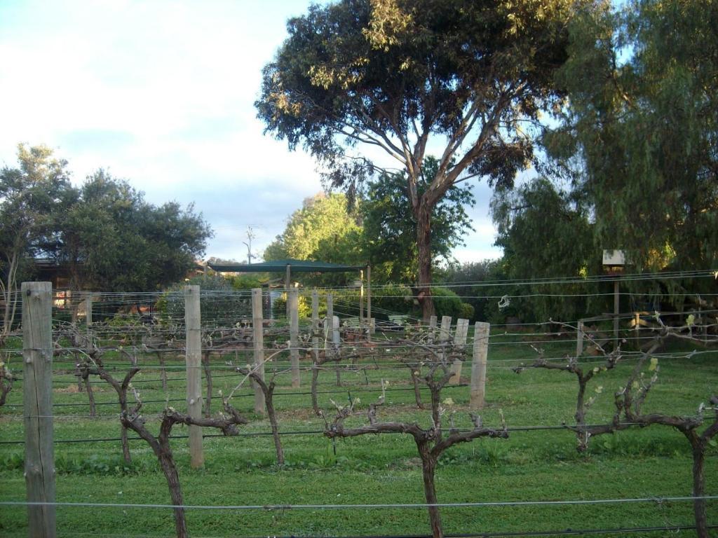Southern Vales Bed & Breakfast Mclaren Vale Exterior photo