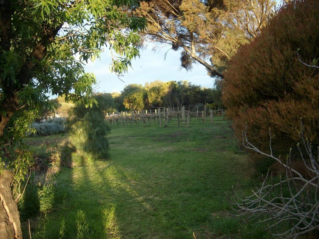 Southern Vales Bed & Breakfast Mclaren Vale Exterior photo